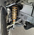 TOUGH DOG SUSPENSION